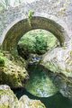 Tollymore Forest Park Newcastle Co Down (14)